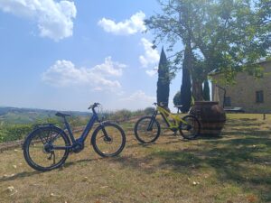IMG_20260730_120439